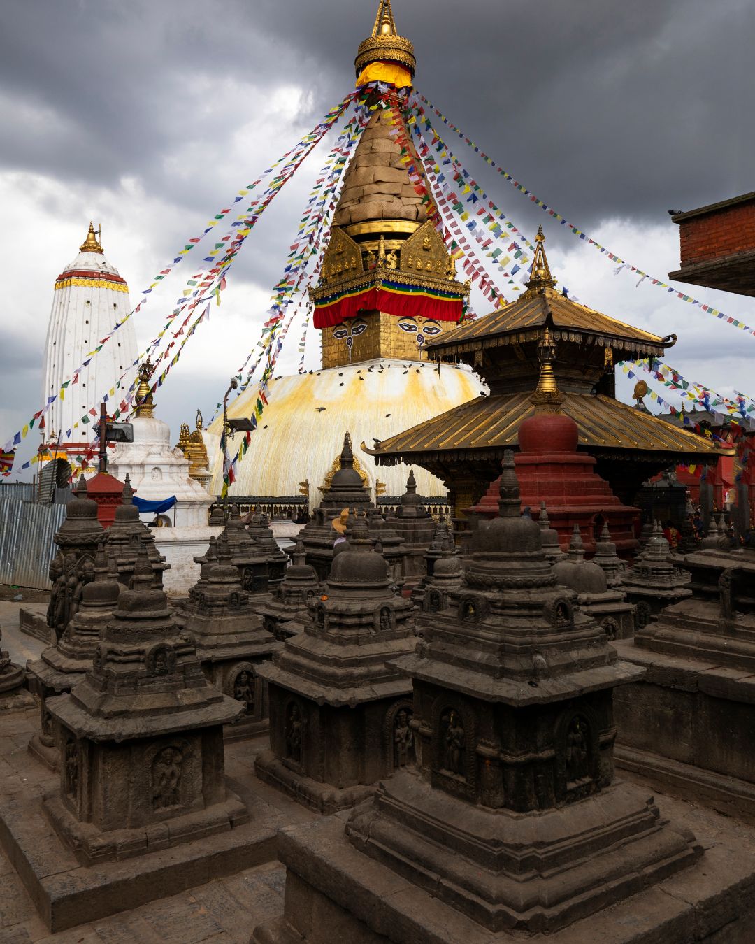 Discover Nepal